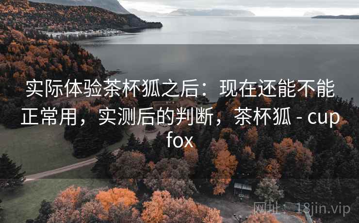 实际体验茶杯狐之后：现在还能不能正常用，实测后的判断，茶杯狐 - cupfox