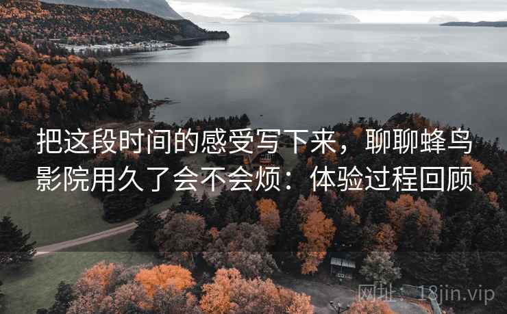 把这段时间的感受写下来，聊聊蜂鸟影院用久了会不会烦：体验过程回顾